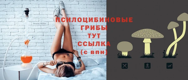 эйфоретик Баксан