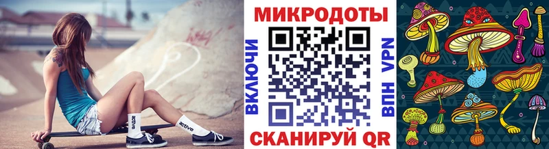 хочу   Свирск  Псилоцибиновые грибы мицелий 